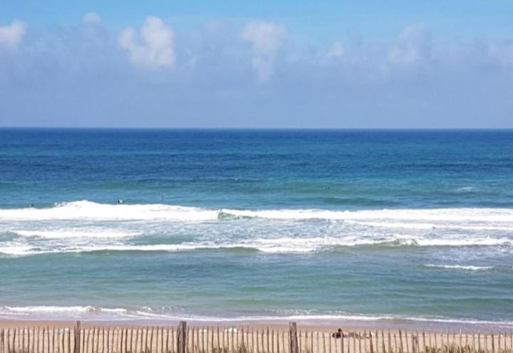 L'Ocean&Dunes Vue A 180° En Bord De Plage Lacanau Eksteriør billede
